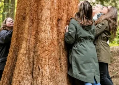 A group of people touching a tree